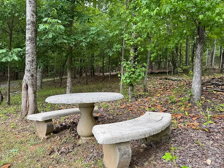 264 Needle Eye Rd — Photo 56