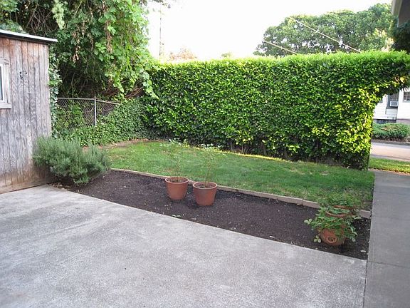 Backyard from Back Door