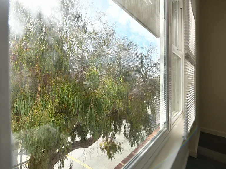 935 Solano Ave — Photo 19