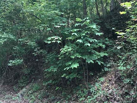 4th image of 0 Estate Dr Lot 17-18