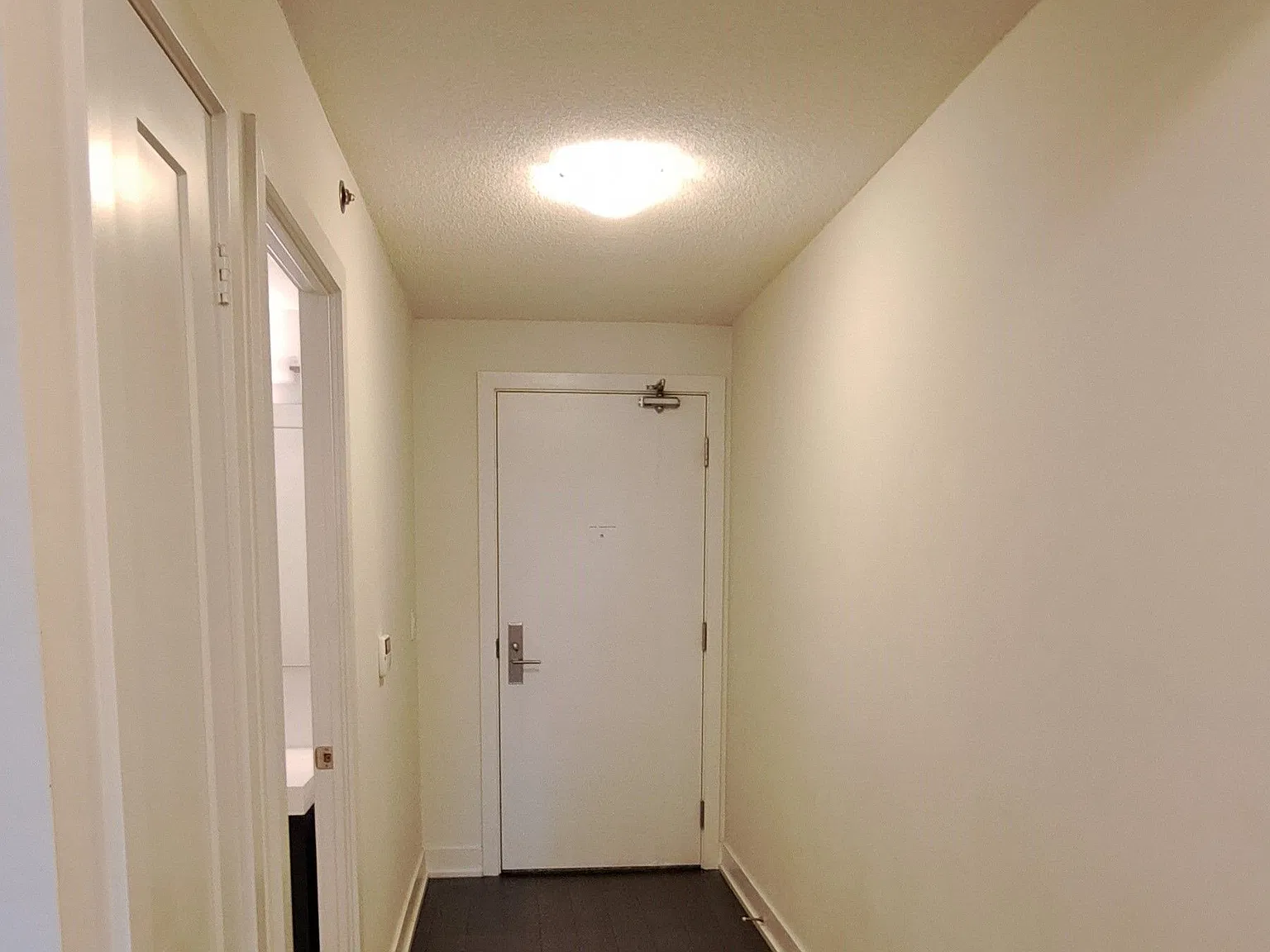 Studio, $2,050 — Photo 3