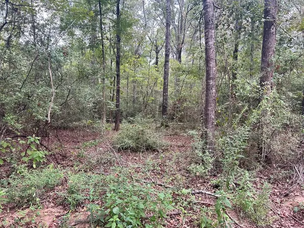 113 County Road 3460, Joaquin, TX 75954