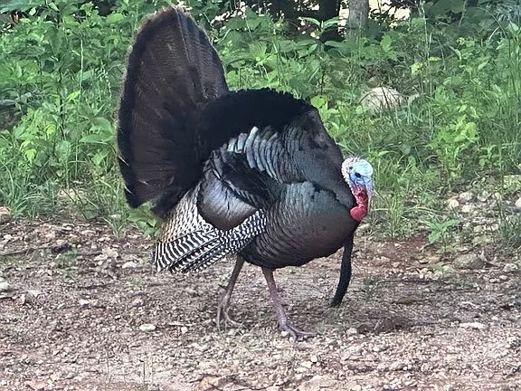 89th image of this home