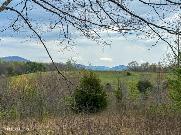 785 Pilot Mountain Rd, Sunbright, TN 37872