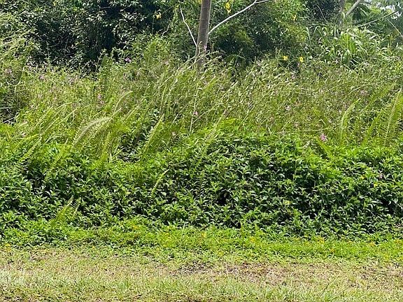 4th image of 16-2063 Gardenia Dr Lot 21