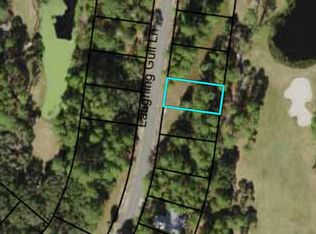 120 Laughing Gull Ln, Carrabelle, FL 32322