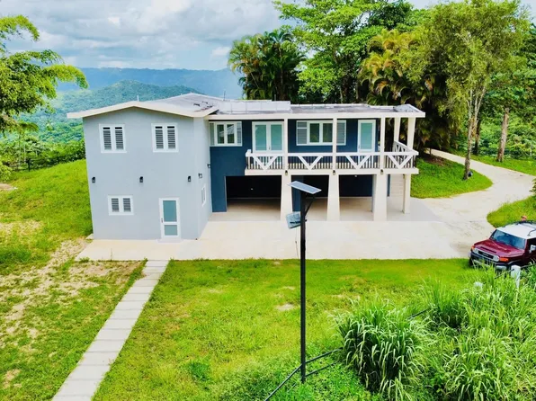 111 Las Palmas #111, Utuado, PR 00641