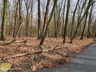 State Route 55 Schoolhouse Rd, East Stroudsburg, PA, 18302
