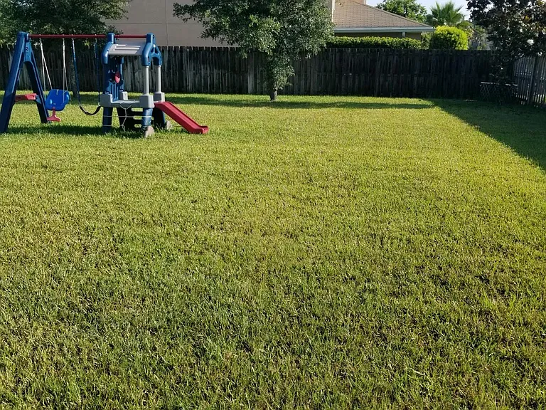 11533 Pleasant Creek Dr — Photo 3