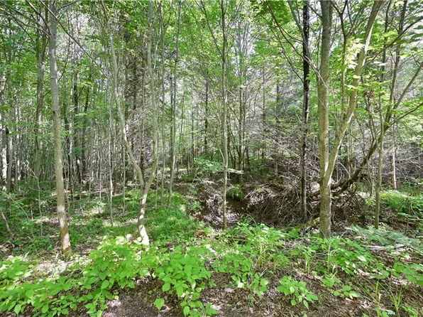 Lot 3 Warner Drive, Hayward, WI 54843