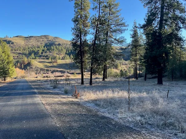 31824 Blue Grouse Dr E, Davenport, WA 99122