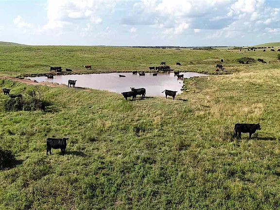 3rd image of 5-20 Ranch