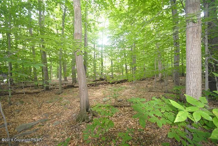 179 Sweet Briar Rd photo 1