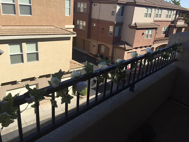 700 Moon Cir #Z — Photo 21