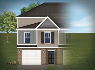 167 Horizon Ln, Richmond Hill, GA 31324