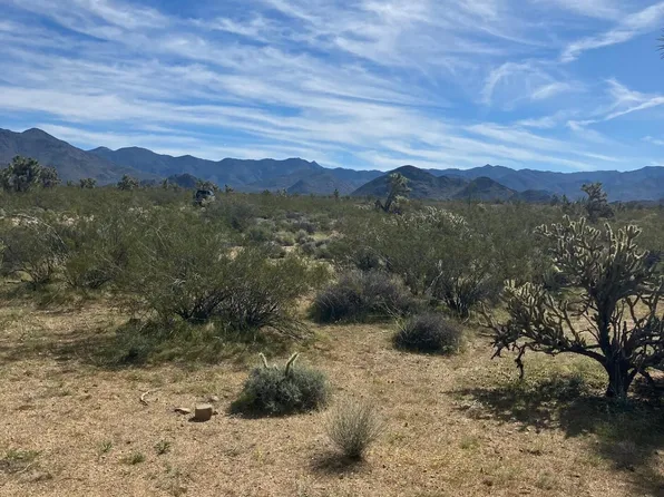 0 Rutz Rd, Yucca, AZ 86438