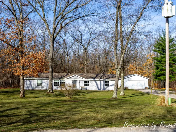 8313 Summer Ave, Newaygo, MI 49337