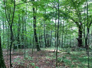 0 Pine Acres Rd, Townshend, VT 05353