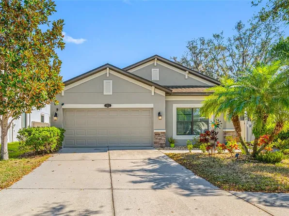 11652 Palmetto Pine St, Riverview, FL 33569