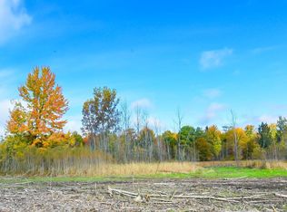 17180 Geddes Rd, Hemlock, MI 48626