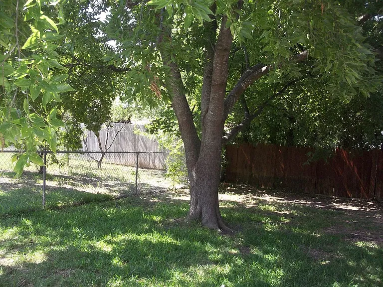 904 E Jasper Dr — Photo 8