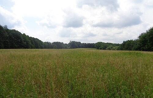 5th image of 252 Canoe Ridge Rd