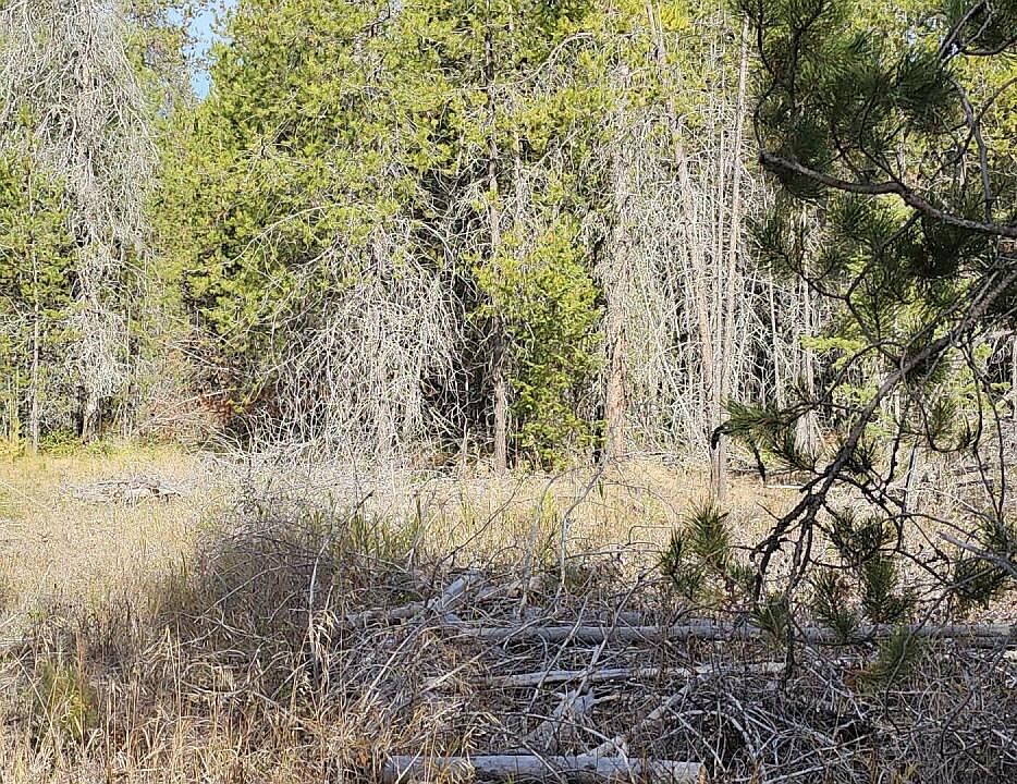 446X Springdale Hunters Rd, Springdale, WA 99173 Zillow