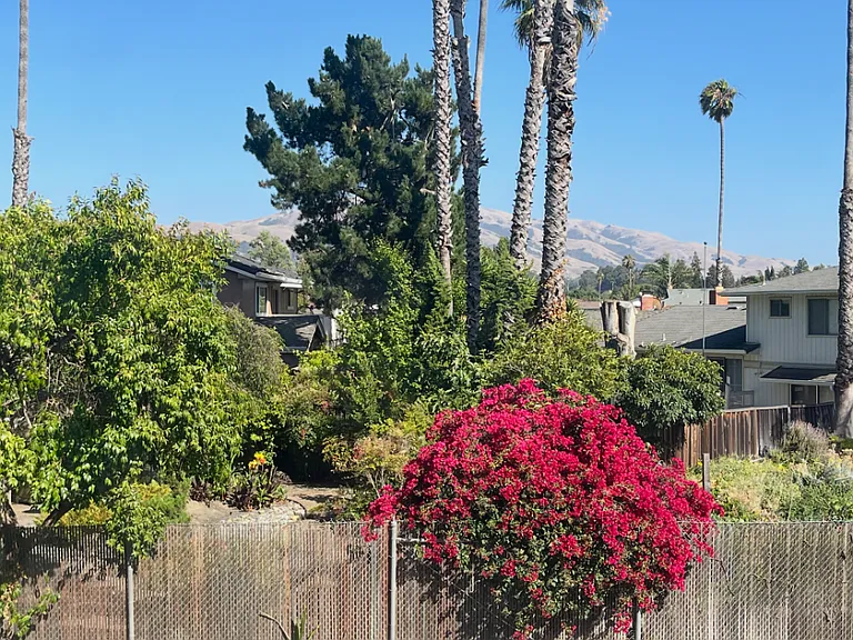 40268 Santa Teresa Cmn — Photo 17