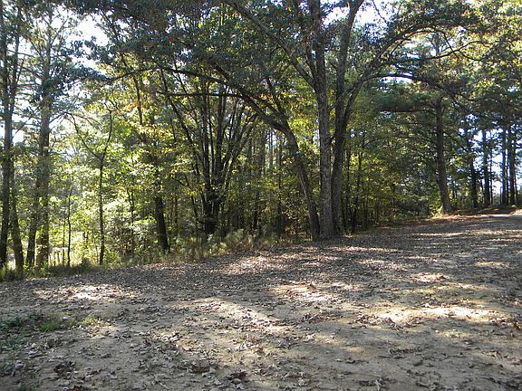 5th image of 164 Webber Rd