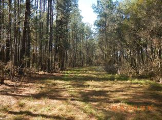 0 NW 148th Ln, Reddick, FL 32686