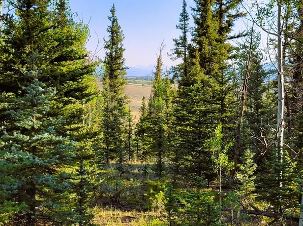 1148 Haida Rd, Jefferson, CO 80456