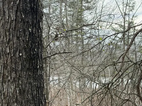 Lt3 BOAT LANDING 11 ROAD, Silver Cliff, WI 54104