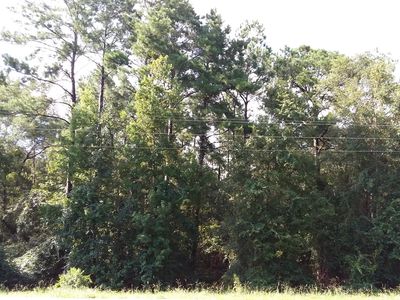 5.6 Acs Hwy #2, Bonifay, FL, 32425