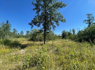 16th St SW, Backus, MN 56435