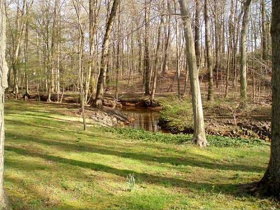 GREEN ACRES BACKDROP