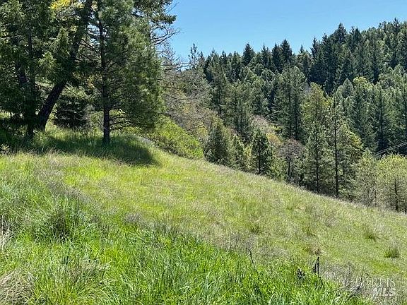 3rd image of 29300 Pinecrest Road