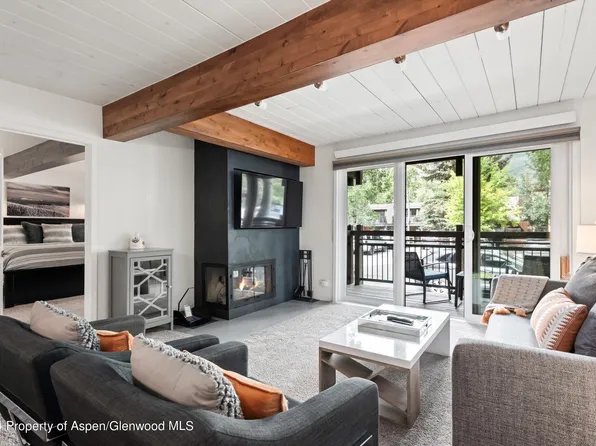 131 E Durant Ave #102, Aspen, CO 81611