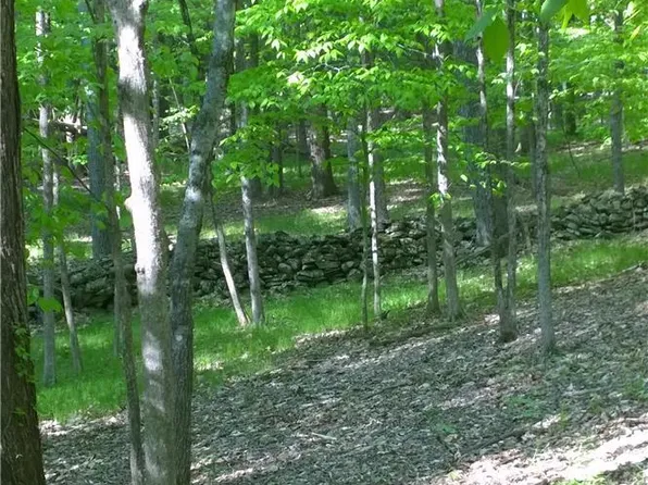 676 Raccoon Ct, Bushkill, PA 18324