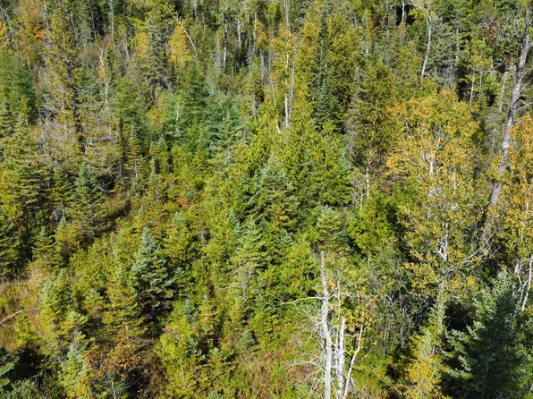 Airport Road Access, Rogers City, MI 49779