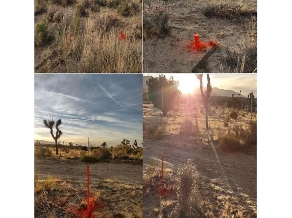 223 Rd St #8-LOT 32, Llano, CA 93544