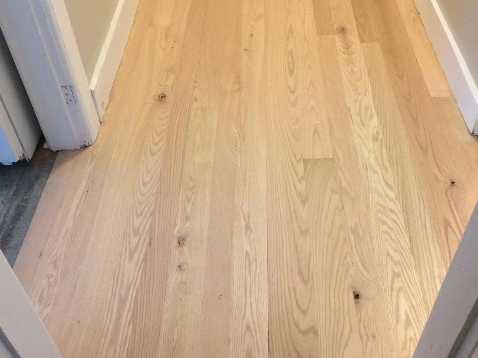 2 bed, 900 sqft, $2,000 — Photo 3