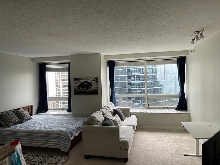 512 N McClurg Ct #3002 — Photo 21