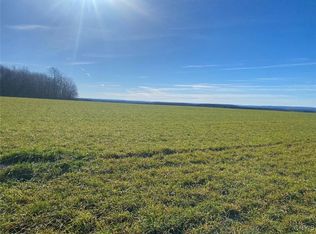 4849 Wadsworth Hill Rd, Scio, NY 14880