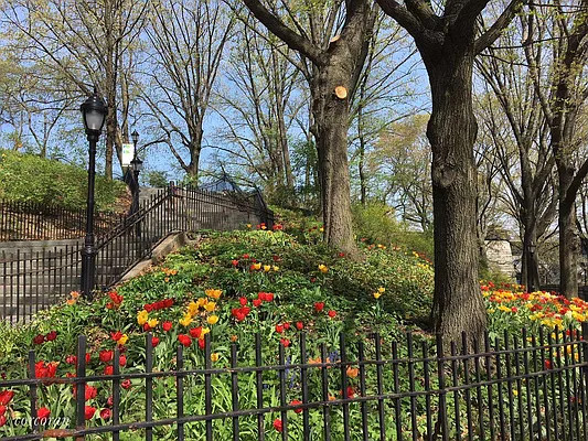 Sold by Corcoran | media 8