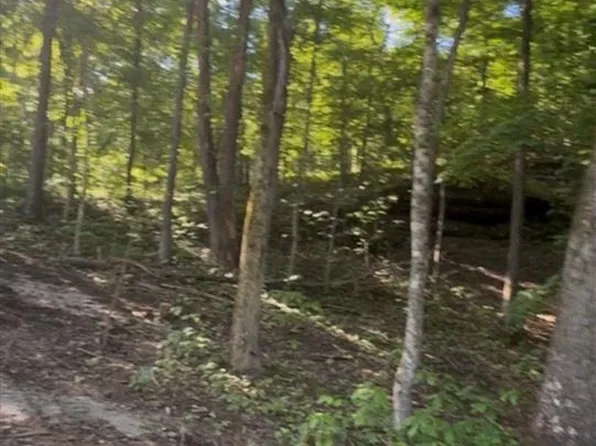 133-135 Wilderness Rd, Mammoth Cave, KY 42259
