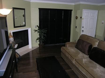 Living room offers hardwood flooring, custom blinds, contemporary fireplace