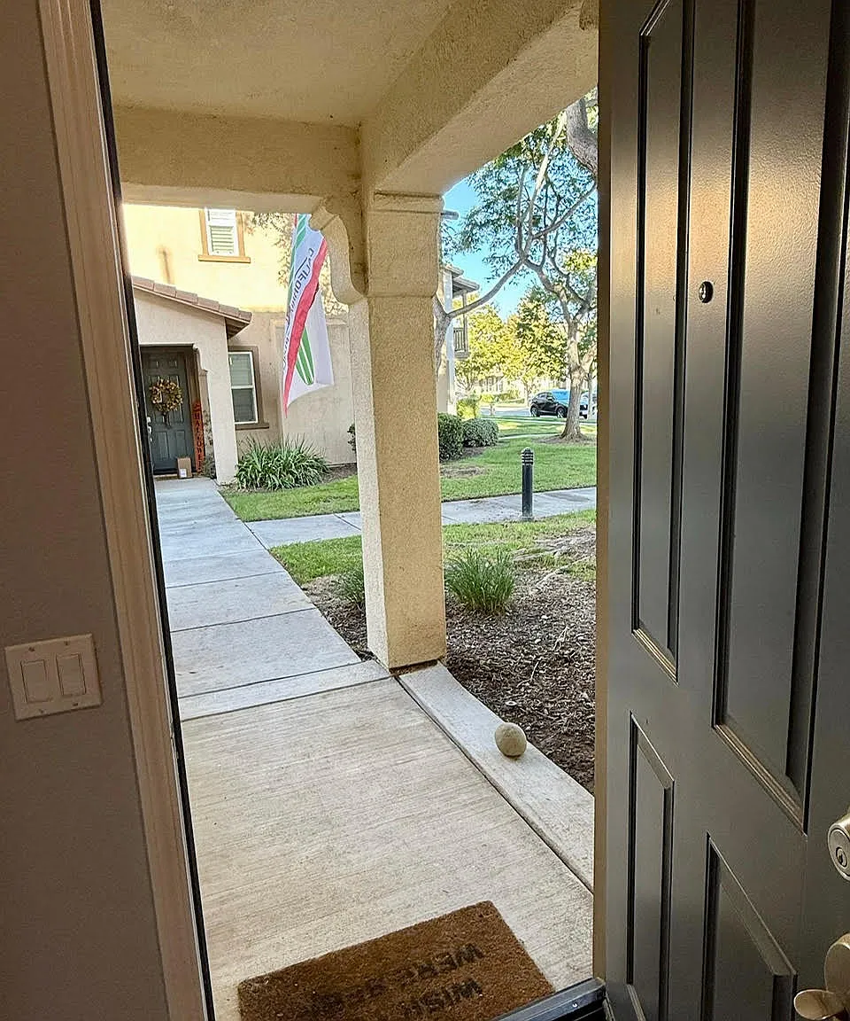 2 bed, 1405 sqft, $3,600 — Photo 3