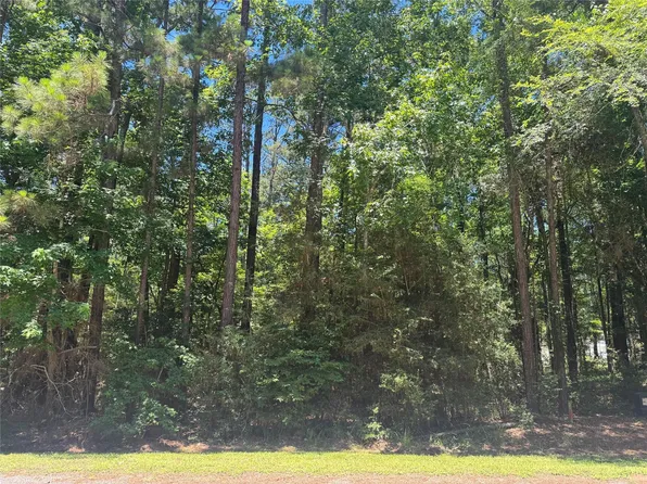69 Sunny Hill Dr Lot 52, Coldspring, TX 77331
