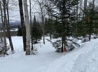 48 Alberts Ln, Warren, VT 05674