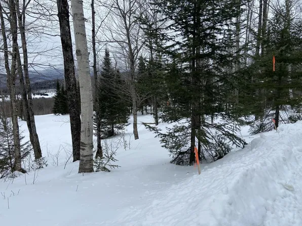 48 Alberts Lane, Warren, VT 05674